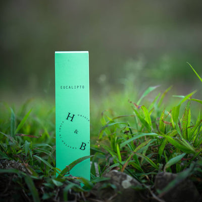 Natural Eucalyptus Incense - Invigorating & Refreshing