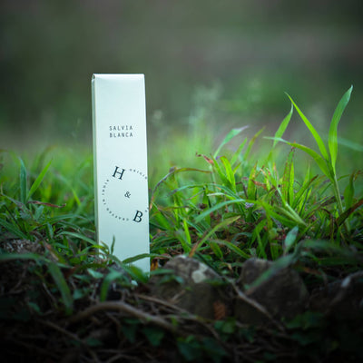 White Sage Incense