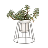 Cibele Plant Stand Black Small, OK Design, Pflanzenständer, NAVE shop - online concept store