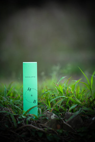 Natural Eucalyptus Incense - Invigorating & Refreshing