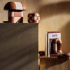 Decorative mushroom-shaped objects on a shelf with a book titled 'Aalto' against a textured wall.