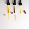 Facial Balancing Elixir - Organic Jojoba Oil; Face Oils by Merme Berlin, Clean Beauty, Nave Shop, online concept store
