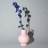 Kleine Strøm Vase in Coral Blush