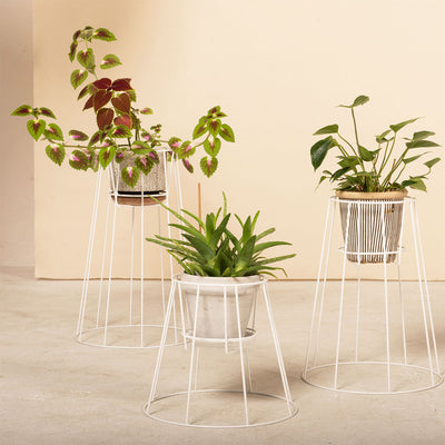 Cibele Plant Stand Black Medium, OK design, Pflanzenständer- NAVE shop - online concept store